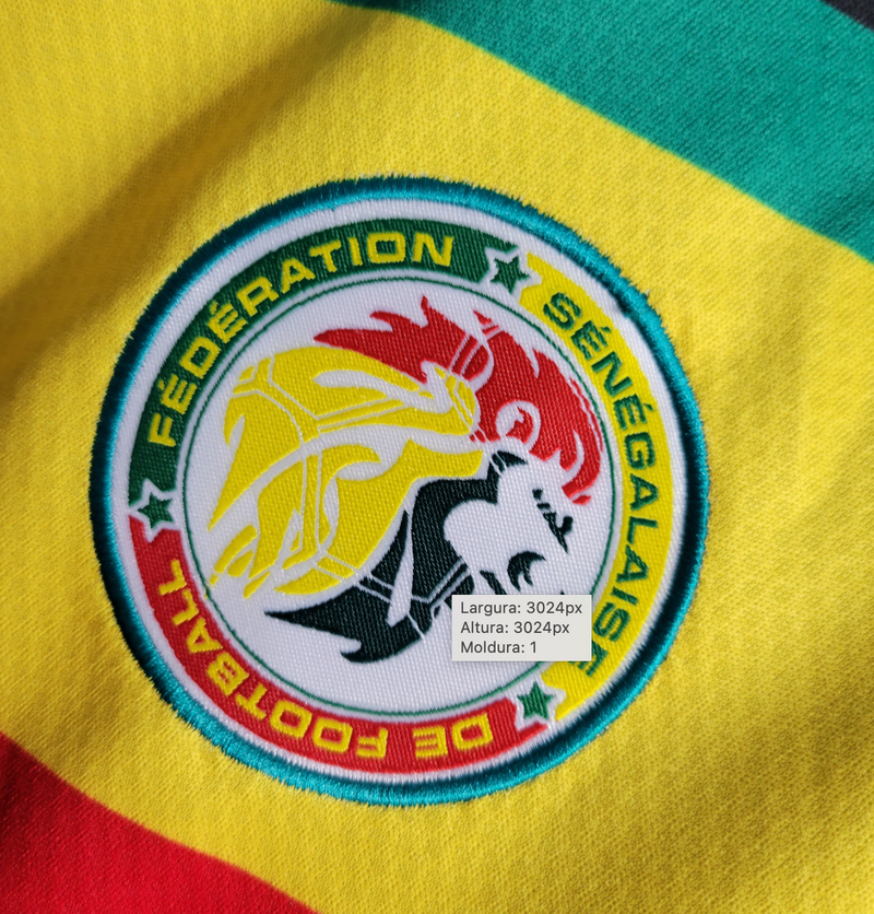 Seleção Senegal Preta